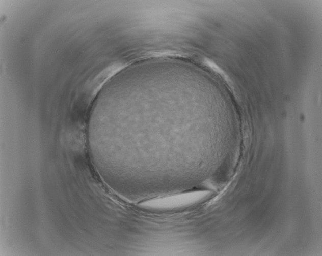 X0000070391361200606301936