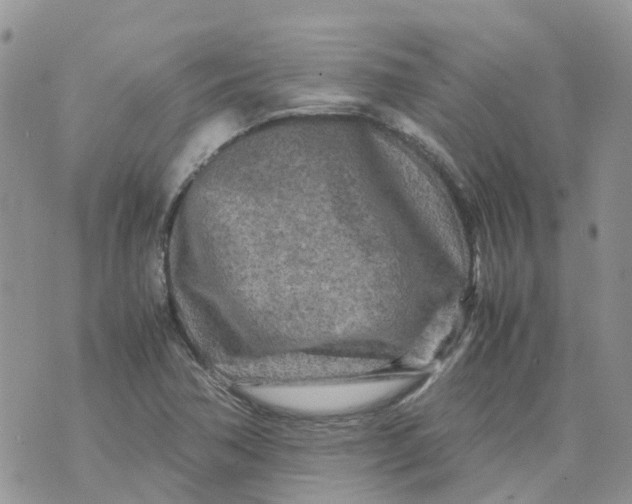 X0000070391362200606301936