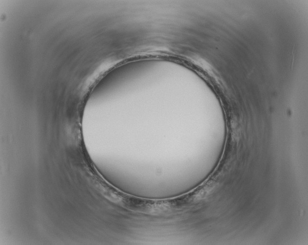 X0000070391363200606301936