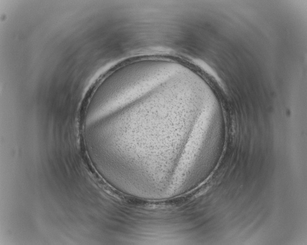 X0000070391364200606301936