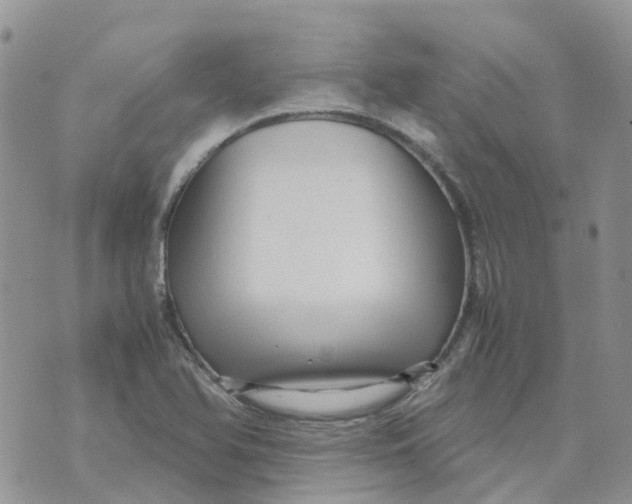 X0000070391366200606301936