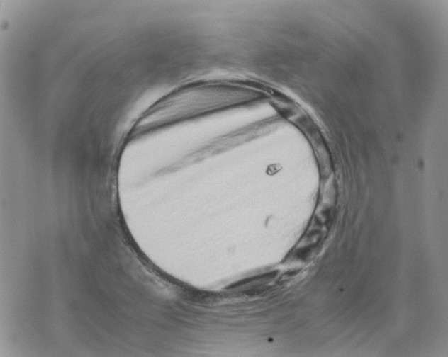 X0000070391367200606301936