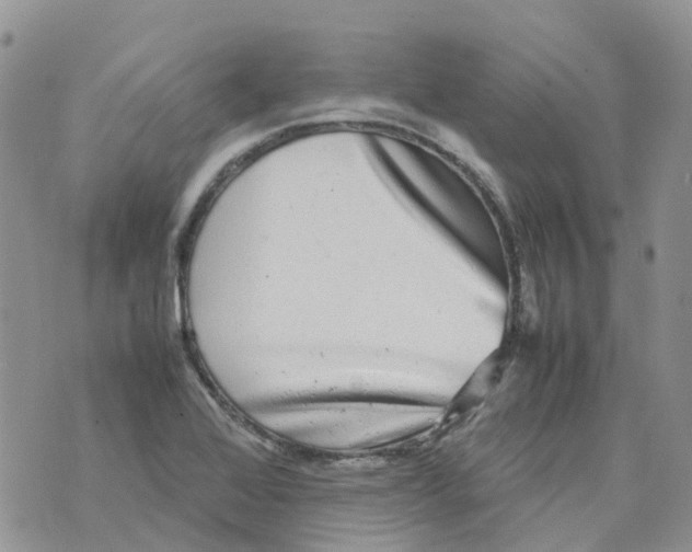 X0000070391368200606301936