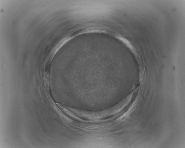 X0000070391369200606301936