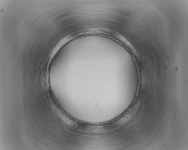 X0000070391370200606301936