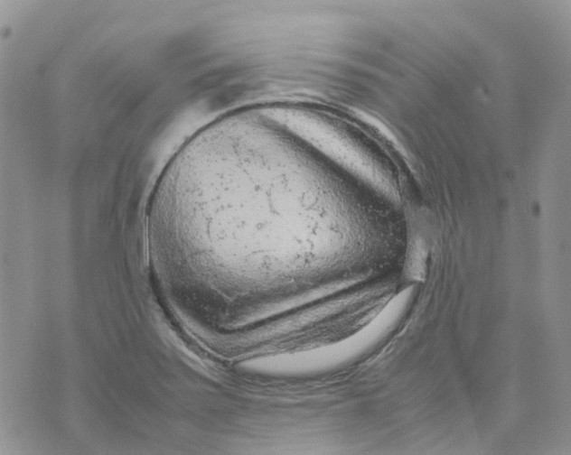 X0000070391371200606301936