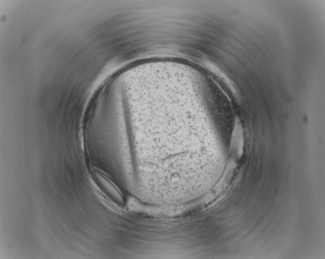 X0000070391372200606301936