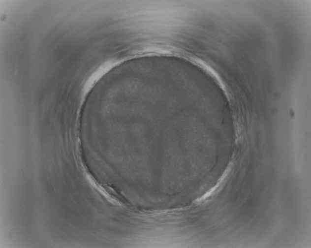 X0000070391373200606301936