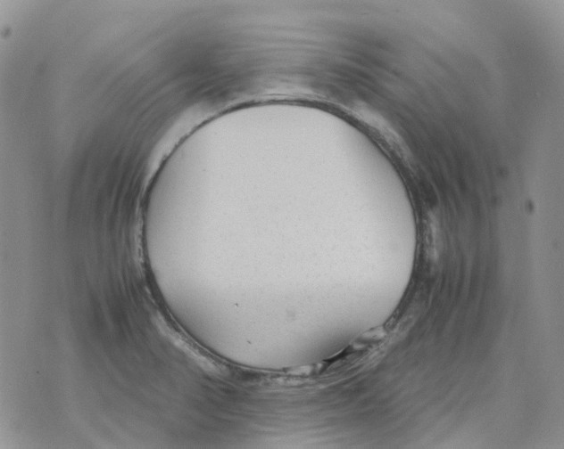 X0000070391374200606301935