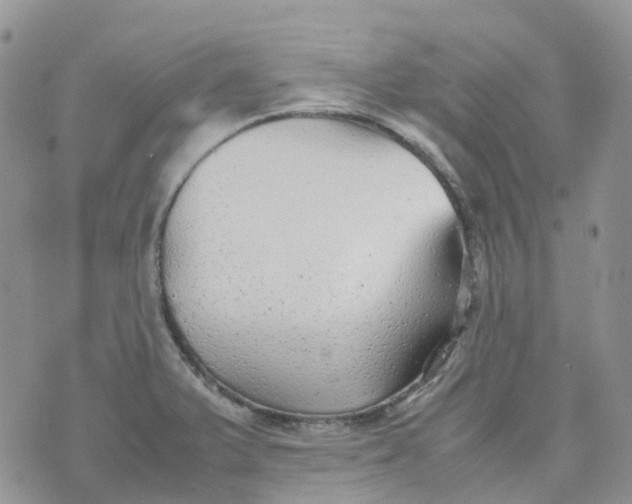 X0000070391375200606301935