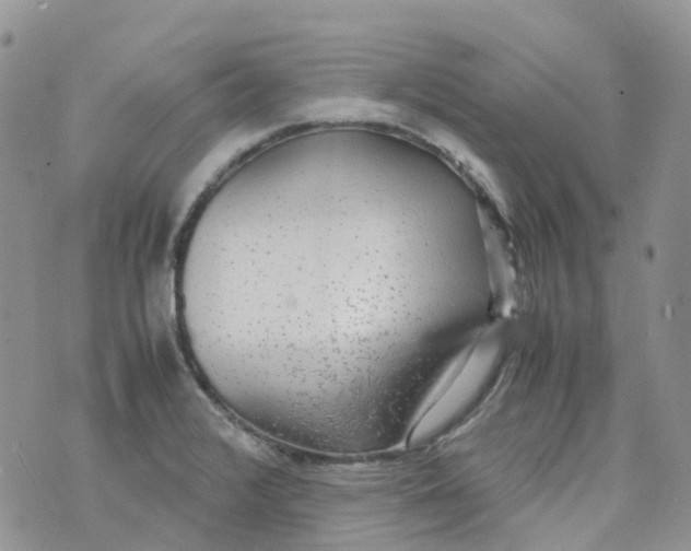 X0000070391376200606301935