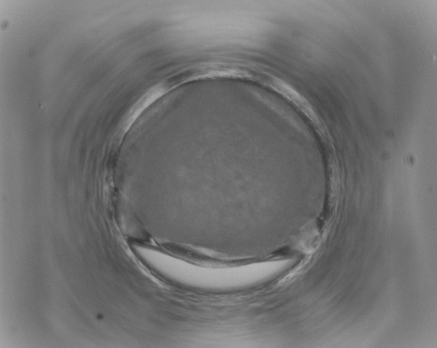 X0000070391377200606301935