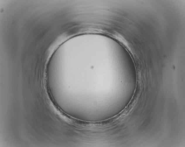 X0000070391379200606301935