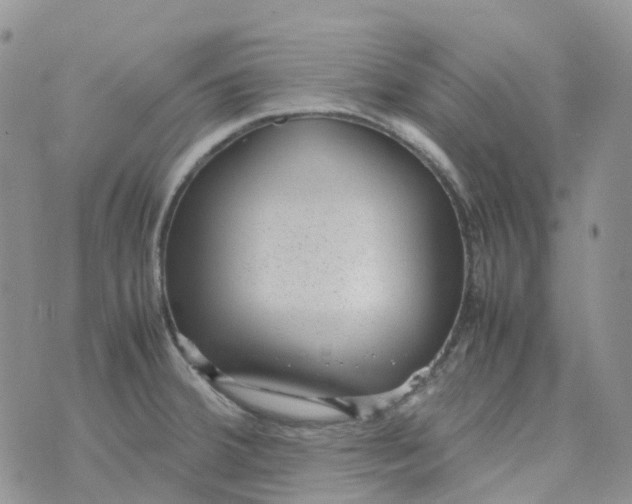 X0000070391380200606301935