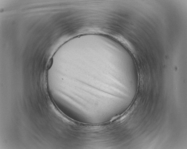 X0000070391382200606301935