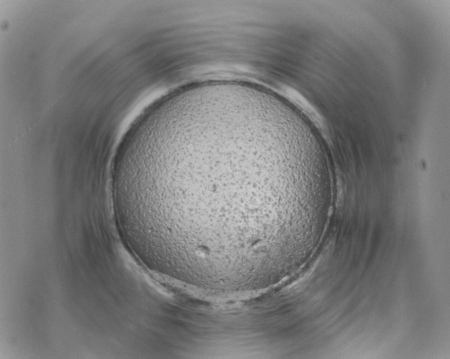 X0000070391384200606301935