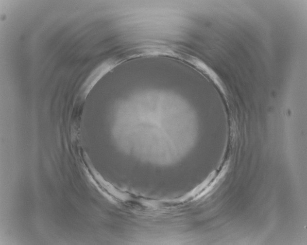 X0000070391385200606301935