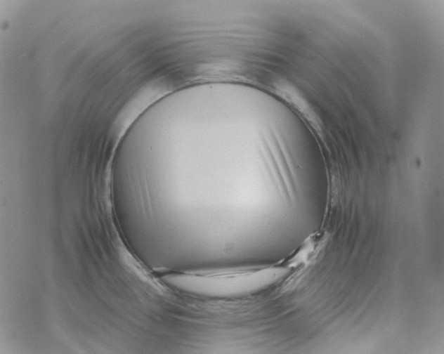 X0000070391386200606301935