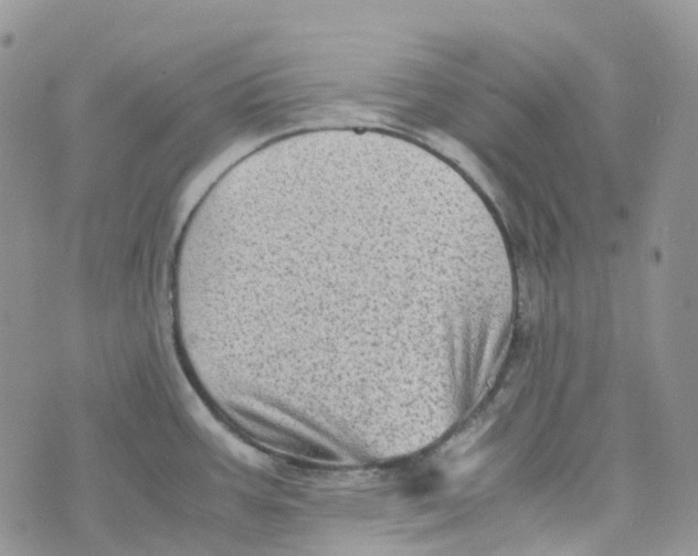 X0000070391387200606301935