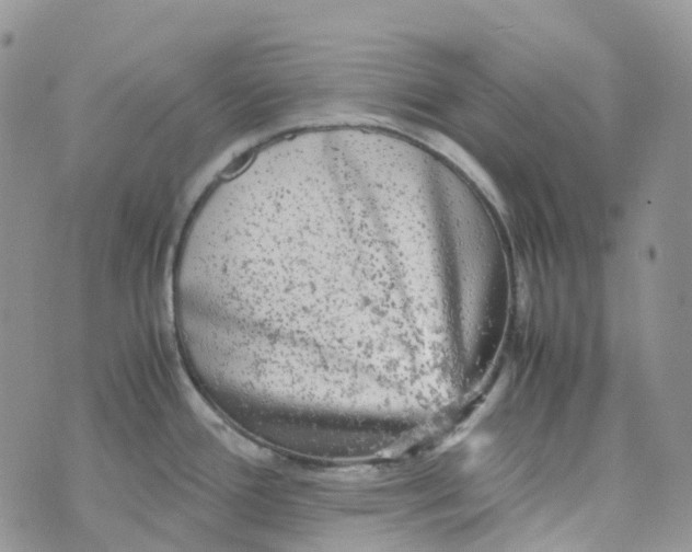 X0000070391388200606301935