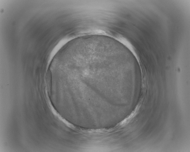 X0000070391389200606301935