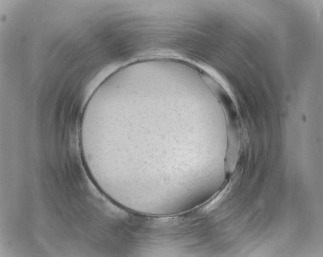 X0000070391390200606301935