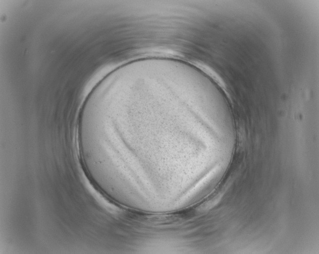 X0000070391391200606301935