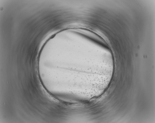 X0000070391392200606301935