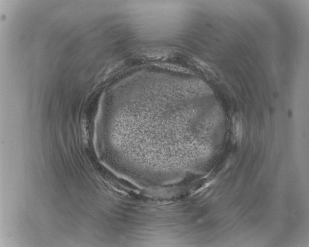 X0000070391394200606301934