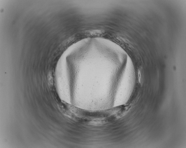 X0000070391395200606301934