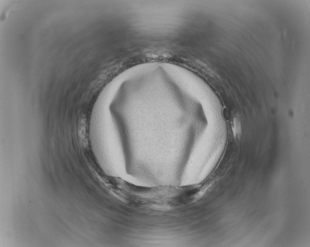 X0000070391396200606301934