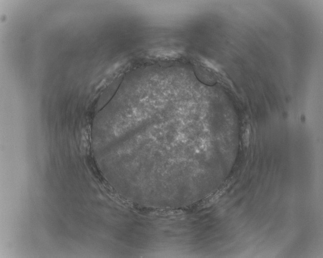 X0000070391397200606301934