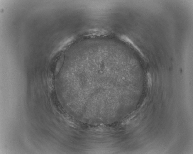 X0000070391399200606301935