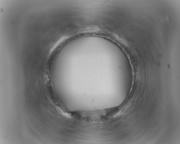 X0000070391400200606301935