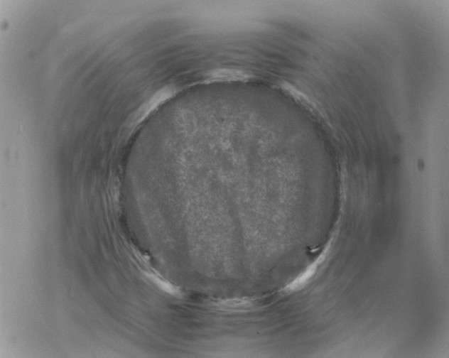 X0000070391401200606301935