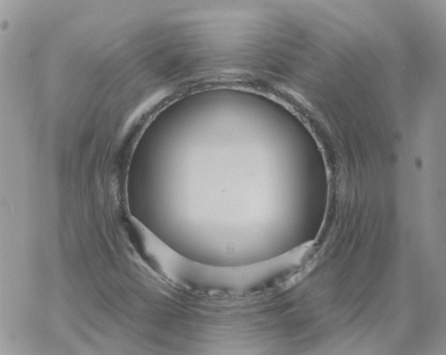 X0000070391402200606301935