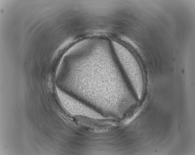 X0000070391403200606301935