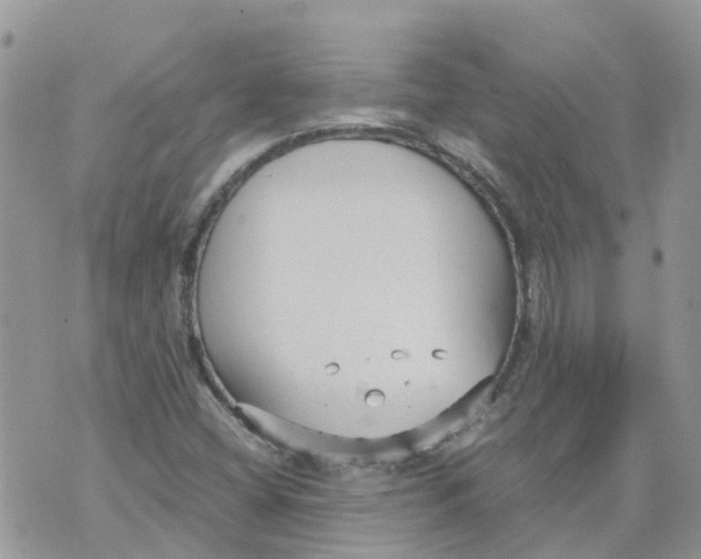 X0000070391404200606301935