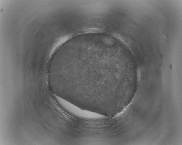 X0000070391405200606301935