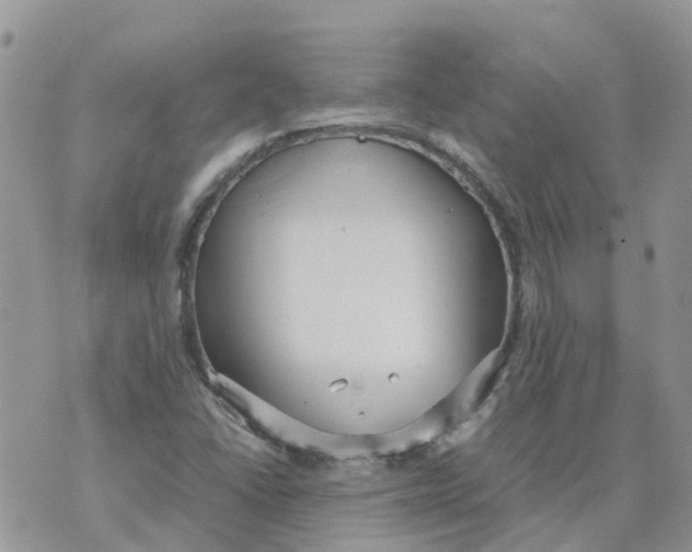 X0000070391406200606301935