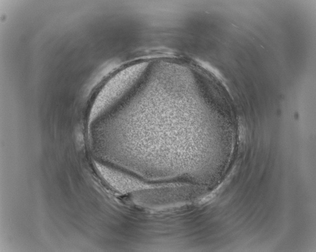 X0000070391407200606301935