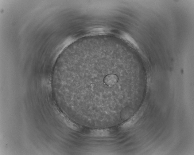 X0000070391409200606301935