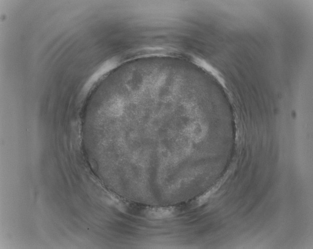 X0000070391411200606301935