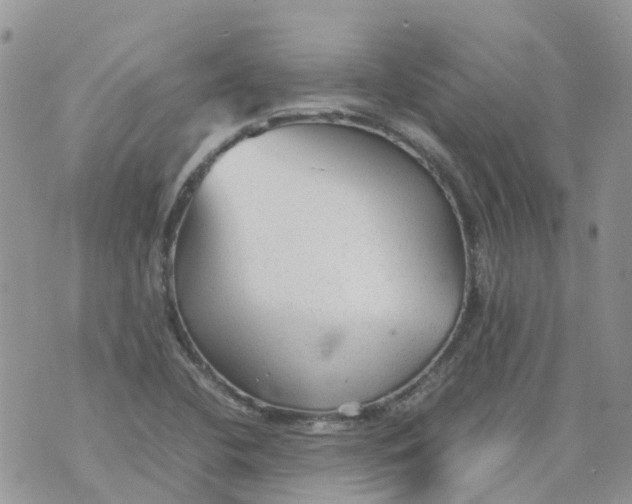 X0000070391412200606301935