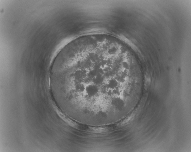 X0000070391413200606301935