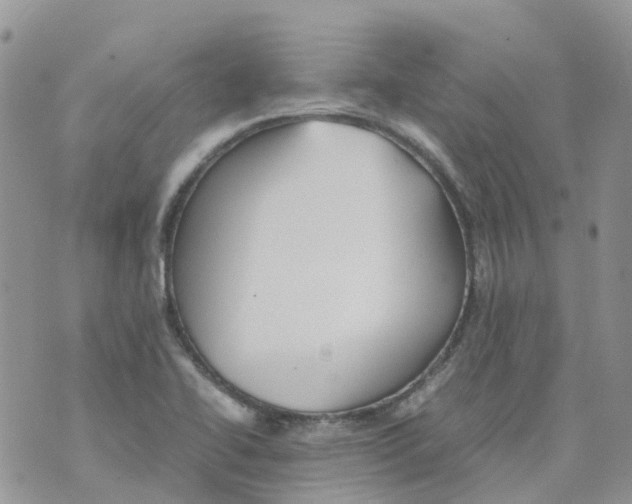 X0000070391414200606301935