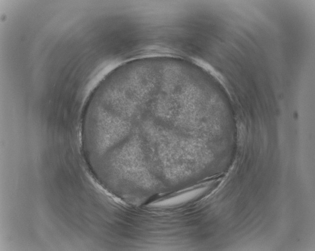 X0000070391415200606301935