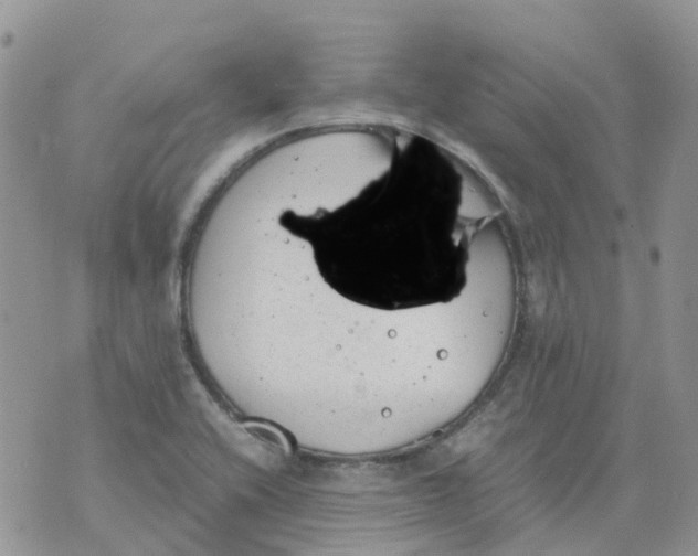 X0000070391416200606301935