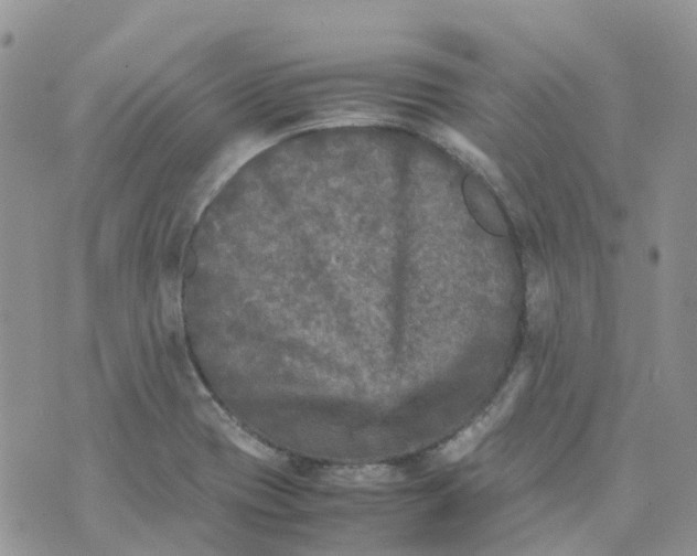 X0000070391417200606301935