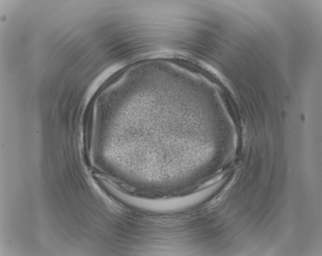 X0000070391418200606301935